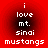 Red background with white pixelated text reading "i love mt. sinai mustangs" arranged in four , displayed across two