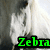Pixelated image of a person in white clothing with a dark background, featuring green text reading 'Zebra' at the bottom.