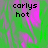 Green background with pink abstract shapes and black text reading 'carlys hot' in three separate sections.