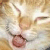 A pixelated orange tabby cat with a white chest and paws, head tilted left, eyes closed in contentment, against a blurred light brown background.