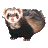Four pixelated ferret poses on gray background: front-facing, side profile, standing upright, and crouched.