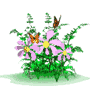 Animated sequence of pink flowers with yellow centers and green foliage, featuring brown butterflies in various positions across frames.