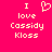 Pixelated text and heart symbol on bright pink background, with two identical static frames showing 'I love Cassidy Kloss' in light yellow.