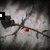 Four- shows a cracked stone background with red dots on branches; the top-left has one black square, top-right two squares, bottom-left three squares, and bottom-right displays 'FAIL!' in cyan text