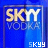 A 4-frame animated contact sheet showing a blue SKYY Vodka logo with yellow and white text, displayed in a 2x2 grid layout.