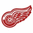 Red wing-shaped icon with green text reading 'GO RED WINGS!!' on a white background.