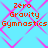 Pixelated text 'Zero Gravity Gymnastics' in orange on cyan background with pink diamond pattern
