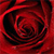 A pixelated red spiral with dark red and black gradients forming a swirling pattern against a solid red background.