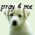 Pixelated dog face with text overlays: 'pray 4 me' in black, 'Hurricane' in red above right dog, and 'Katrina' below it.