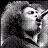 Pixelated black-and-white buddy icon featuring a person with wild hair and text reading "wild hair is so HAWT" in stylized font.