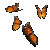 Animated sequence of a monarch butterfly in various flight poses against a solid gray background.