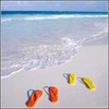 Beach scene with light blue water, white sand, and four colorful objects on the shore.