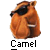 Pixelated orange-brown camel head with dark eye patch, white outline, and 'Camel' text below on gray background.