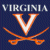 Static pixelated icon featuring "VIRGINIA" text above a large orange V symbol with crossed swords on dark blue background.