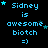 Pixelated blue text on black background reads "Sidney is awesome biotch =)" with scattered cyan stars, varying star positions across frames.