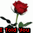 Animated red rose with green leaves and black stems, displaying sequential text overlays on a white background.