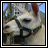 Animated sequence of a llama's face with blue text below, showing progressive pixelation and blurring across frames.