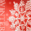 Red background with white snowflake pattern and partial vertical text reading "WINTER" on left side.