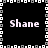 Four identical 'Shane' text labels arranged in a within a pixelated border on black background