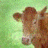 A 48x48 pixel buddy icon featuring a brown cow's face on the left and red cursive text "Brown Cow" on the right against a green background.