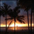 Pixelated sunset scene with palm trees silhouetted against warm orange and yellow sky, dark blue upper background, vertical poles on right.