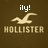 Pixelated brown background with white 'ily!' text above a beige seagull silhouette and 'HOLLISTER' text below.