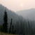 Pixelated landscape with dark vertical shapes resembling trees against a light sky with a bright spot near the top center.