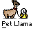 badassbuddy_com-petllama