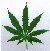Static pixelated image of a green cannabis leaf with seven serrated lobes on a light gray background.