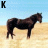 A horse stands in a field with changing text above and below it across four of