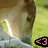 A pixelated image of a character's face with two versions showing different colored symbols at the bottom right.