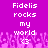 Pixelated text on a purple background with pink floral patterns, displaying 'Fidelis rocks my world <3' in white block letters across two identical