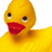 Yellow rubber duck with red beak on white background, next to red with yellow text reading 'Rubber Ducky Ur The One !!!'