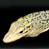 A 49x49 pixel animated buddy icon showing a yellowish-brown fish-like creature in two sequential frames with subtle pose changes against a black background.