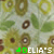 A static pattern of stylized flowers with green leaves and brown centers on a light background, overlaid with repeating text "DELIAS" in green.