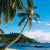 Pixelated beach scene with palm tree and blue sky, paired with text 'summer 4ever' on light blue background.
