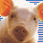 iconhell_meatsnotreat