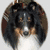A circular dog icon with black, brown, and white fur appears in two states: one without text overlay and another with blue-outlined pink text reading "davinci is an awesome pup! <3".