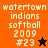 Four display Watertown Indians Softball 2009 #23 text with varying background colors and star symbols