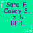 A static image with a bright green background displays purple text listing names and 'BFR' with white star and dot patterns.