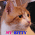 A pixelated cat with orange and white fur, black eyes, pink nose, and ears has text below it that changes color between frames.
