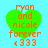 Green heart-shaped icon with orange text reading 'ryon and nicole forever <333' on light blue background, showing two distinct pixel states.