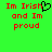 Green background with red pixelated text reading "Im Irish and Im proud" on both sides, one side featuring a black heart symbol replacing the 'i' in "Irish".