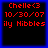 Four identical pixelated display red text on black backgrounds with blue borders, each showing 'Chelle<3', '10/30/07', and 'ily Nibbles' in a retro digital style