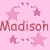 Pixelated pink background with repeated 'Madison Madison' text, stars, and small plus signs in varying shades of pink.