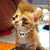 Animated icon shows a cartoon dog with light brown fur and blue collar, first without text then displaying "bad purple" in black box, followed by close-up of cat face with "slop it bad kitty" text.