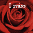 Red rose with white text reading 'I miss the scent of' on a gray background.