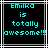 Pixelated cyan text on black background reads "Emilka is totally awesome!!" with white and gray lines framing the text