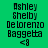 Pixelated text displays 'Ashley Shelby DeLorenzo Baggetta' with '<3' symbol on four distinct background colors in a