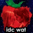 six red strawberry icons with green leaves on a dark blue background, each displaying different text overlays